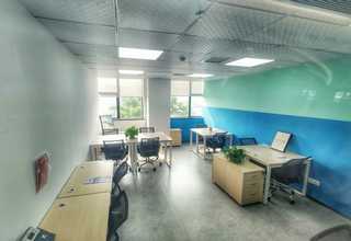 甘肃绿色三剑客