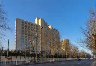 上海F840手套价格