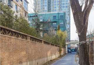 宠物用颗粒全粉定制